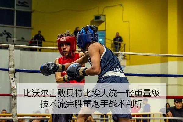 bi-wo-er-ji-bai-bei-te-bi-ai-fu-tong-yi-qing-zhong-liang-ji-ji-shu-liu-wan-sheng-zhong-pao-shou-zhan-shu-pou-xi-2-679.jpg